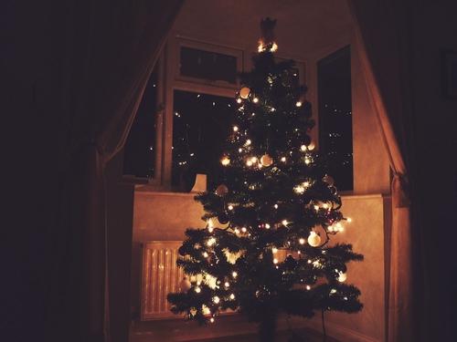 winter break rocket reporter tumblr christmas tree photography